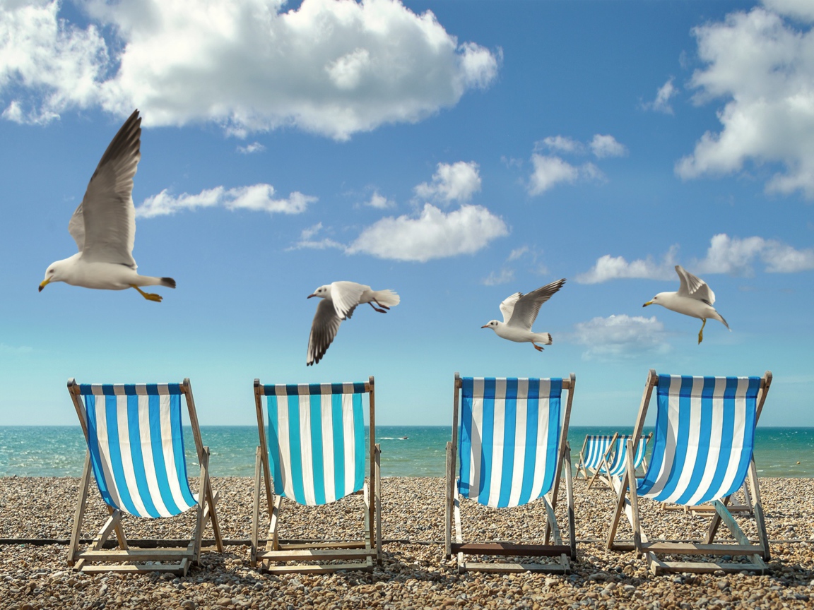 Шезлонги стоят на желтом песке у моря