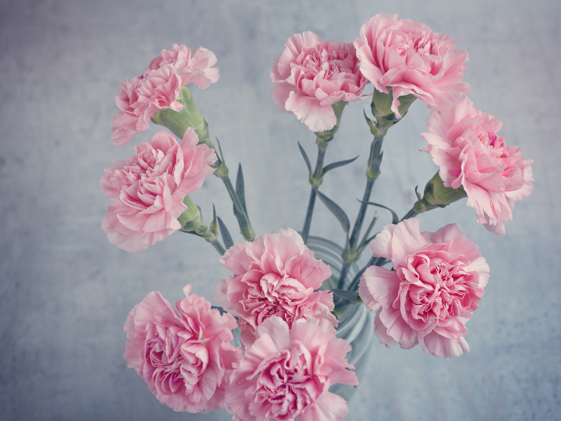 Букет розовых гвоздик в вазе на столе