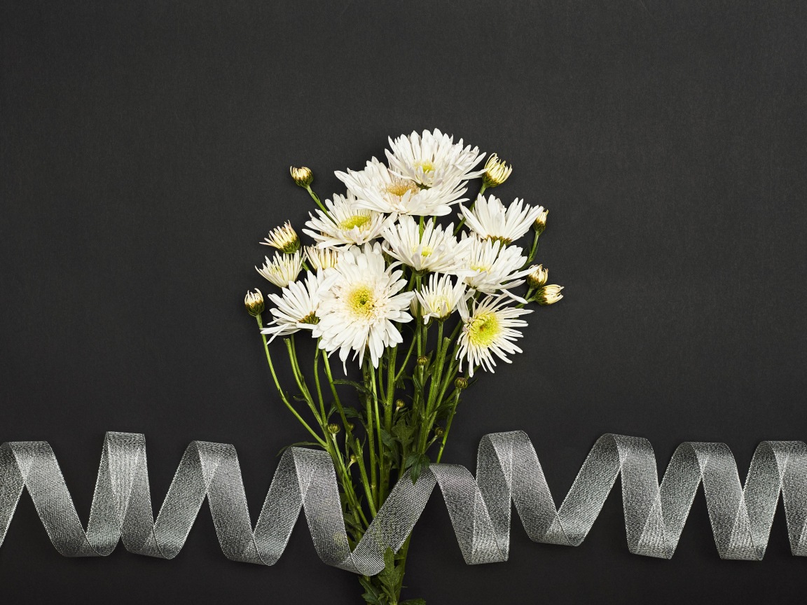 Букет белых цветов хризантемы с лентой на сером фоне