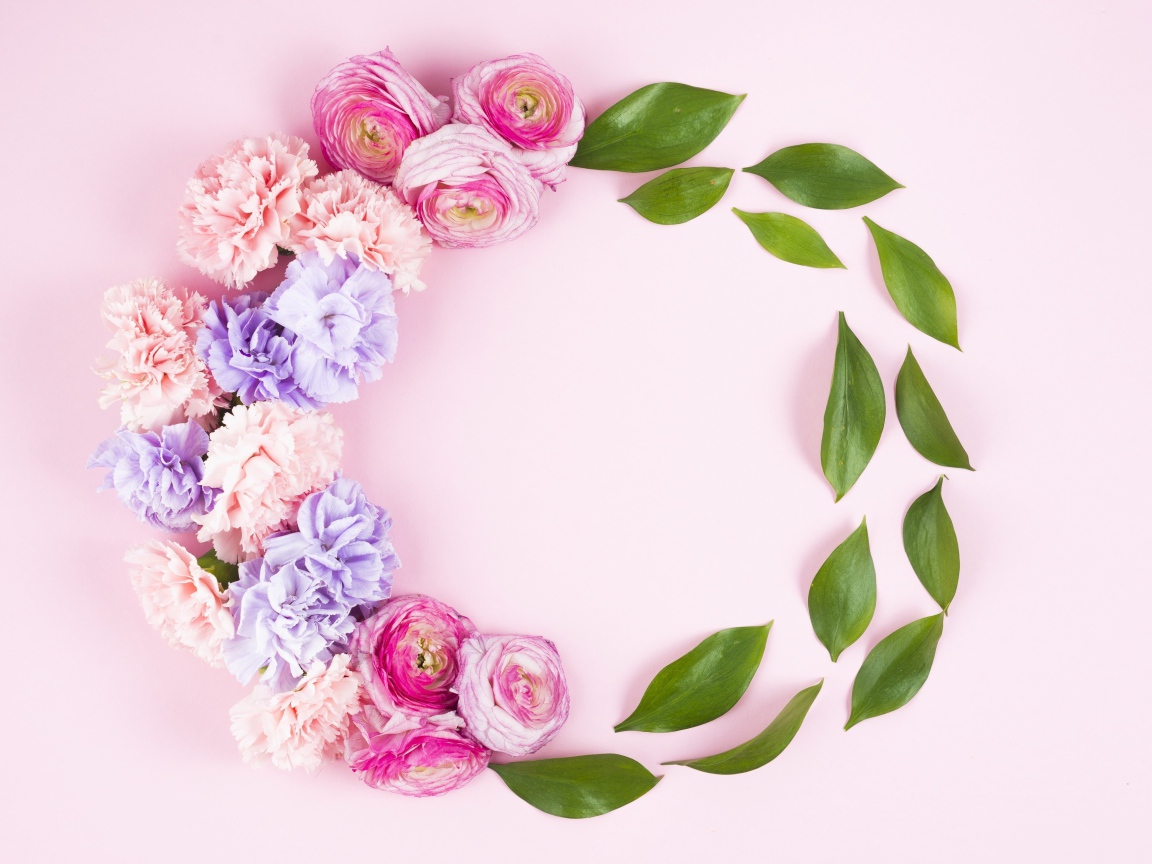 Гвоздики с лютиками и зелеными листьями на розовом фоне