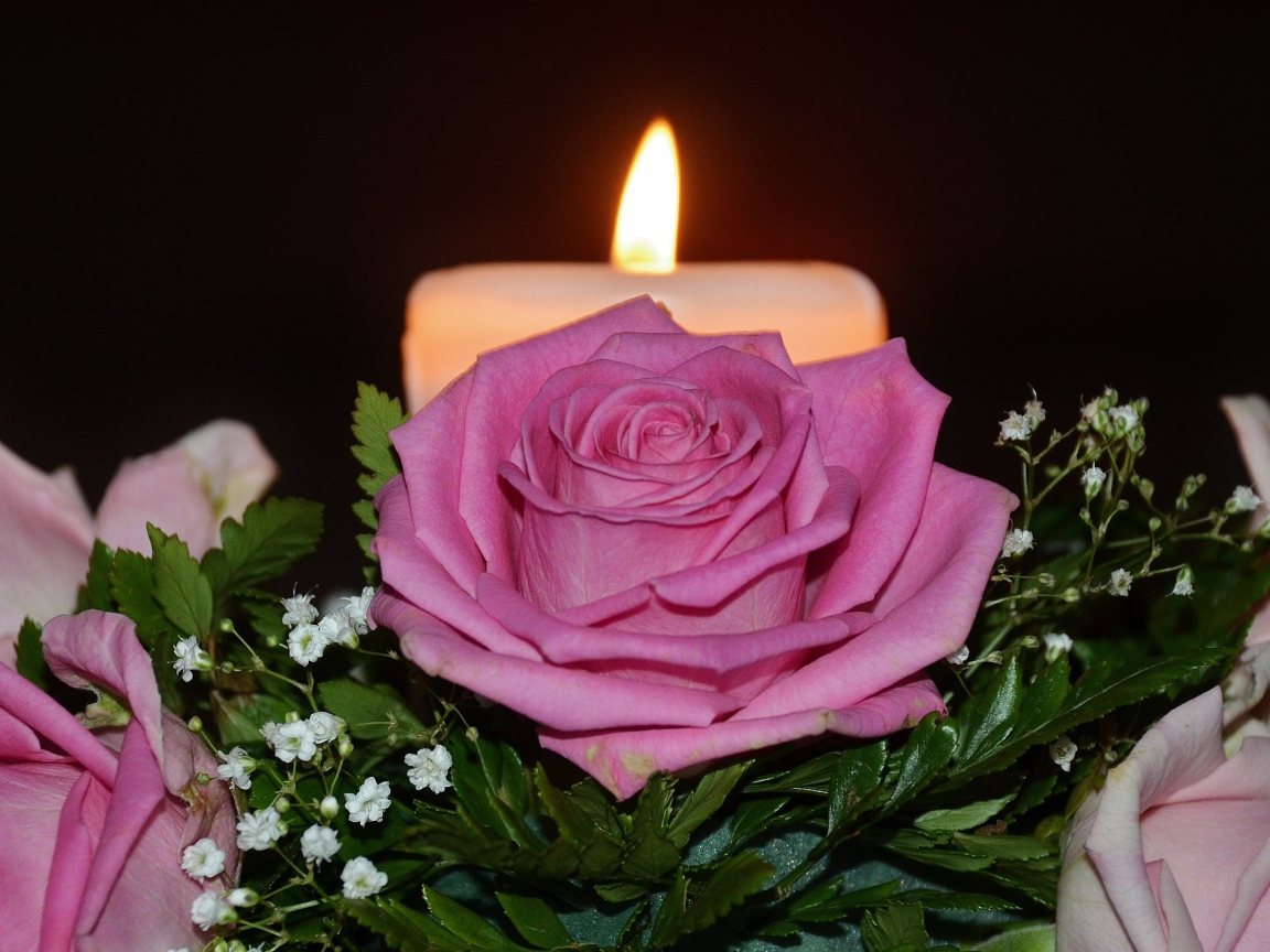 Розовые розы с зелеными листьями на столе со свечой