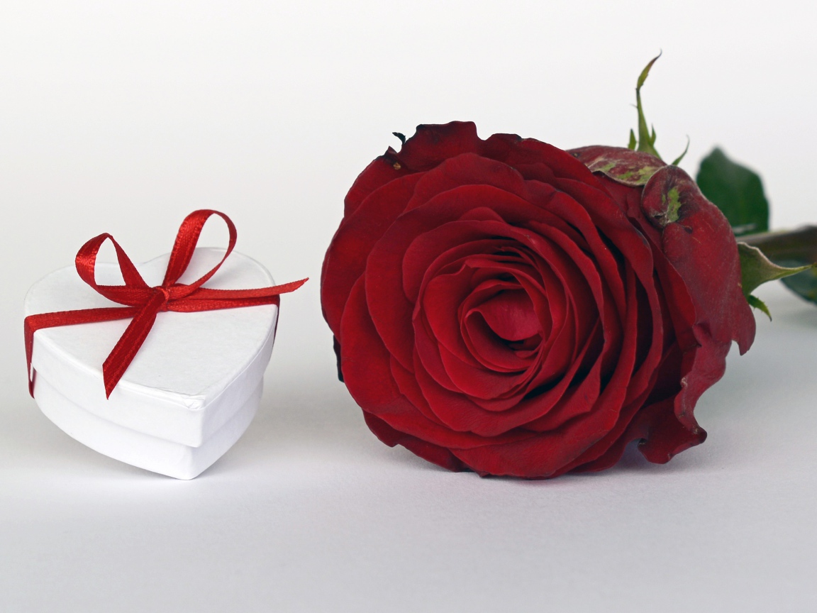 Алая роза с подарком на белом столе
