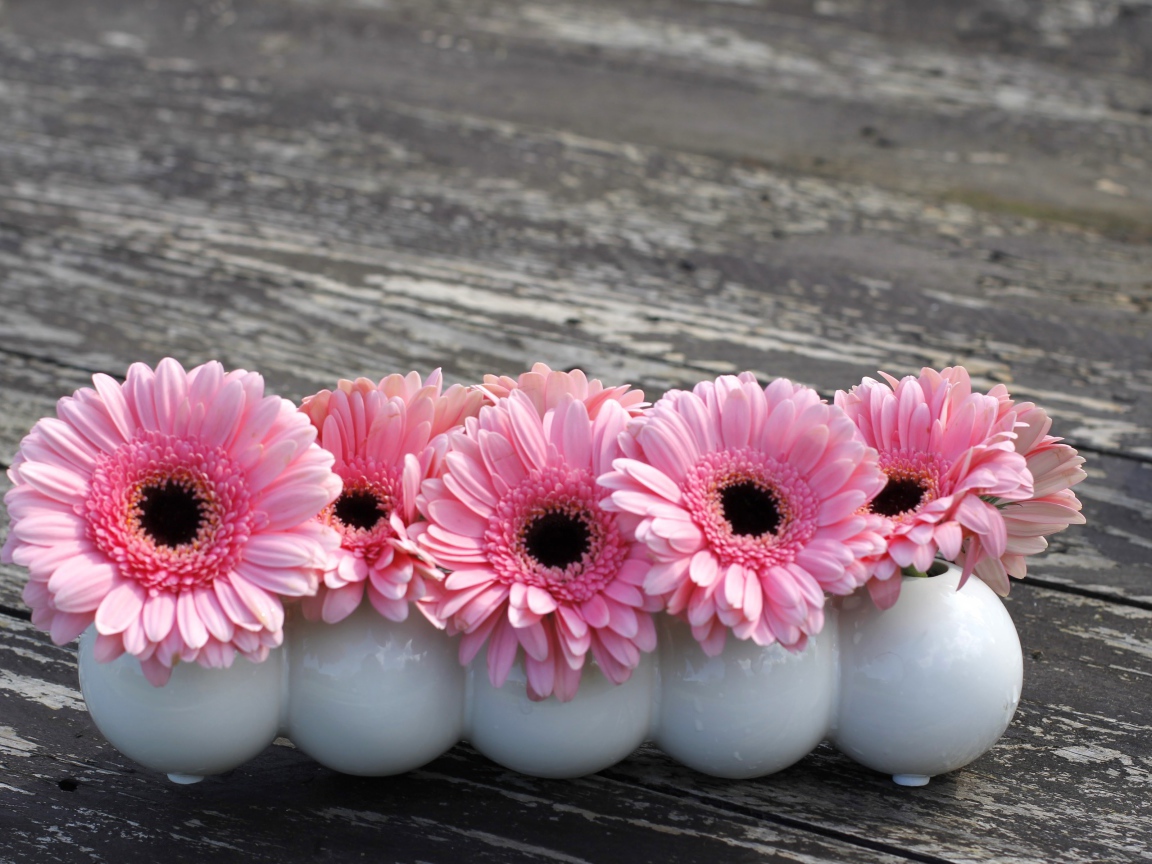 Маленькие розовые цветы герберы в белых вазах