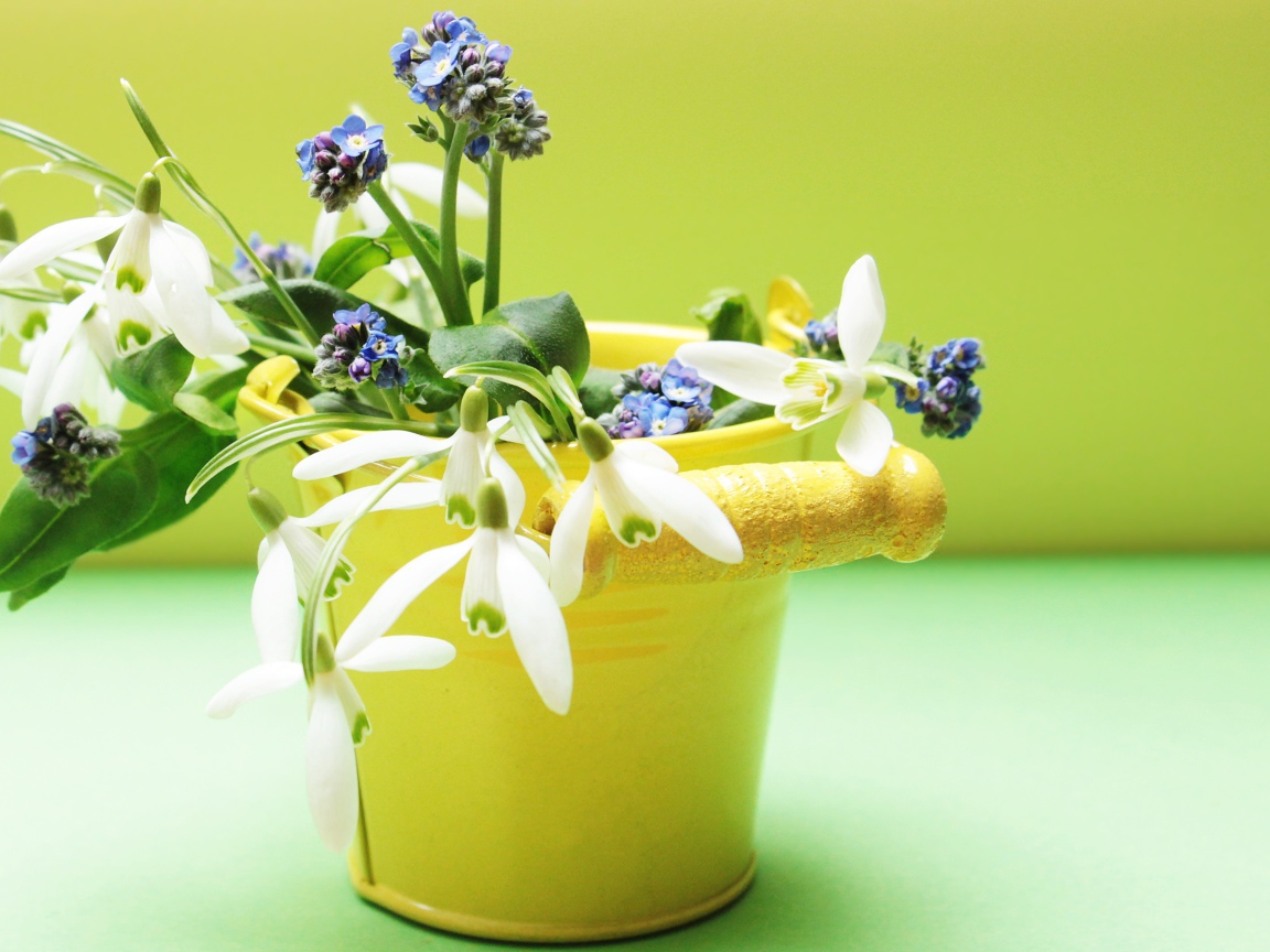 Маленькое желтое ведерко с весенними цветами
