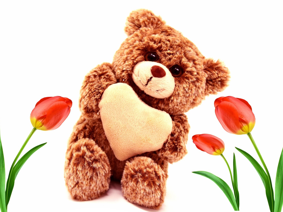 Игрушка медвежонок с красными тюльпанами на белом фоне