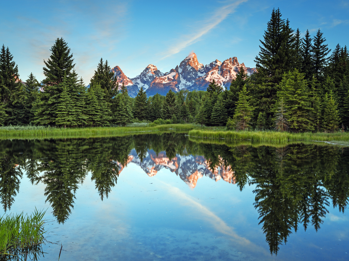 Зеленые высокие ели отражаются в озере на фоне гор