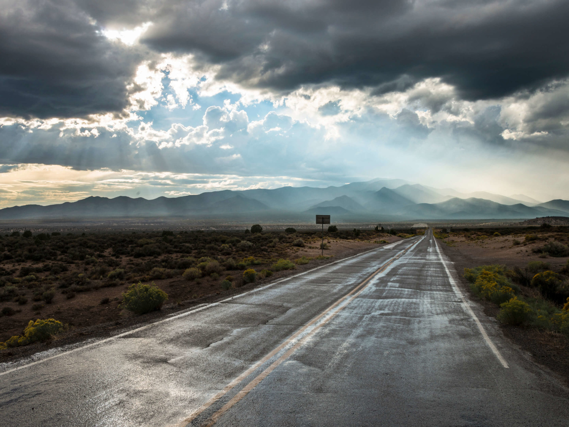 Мокрая дорога в лучах солнца под пасмурным небом 