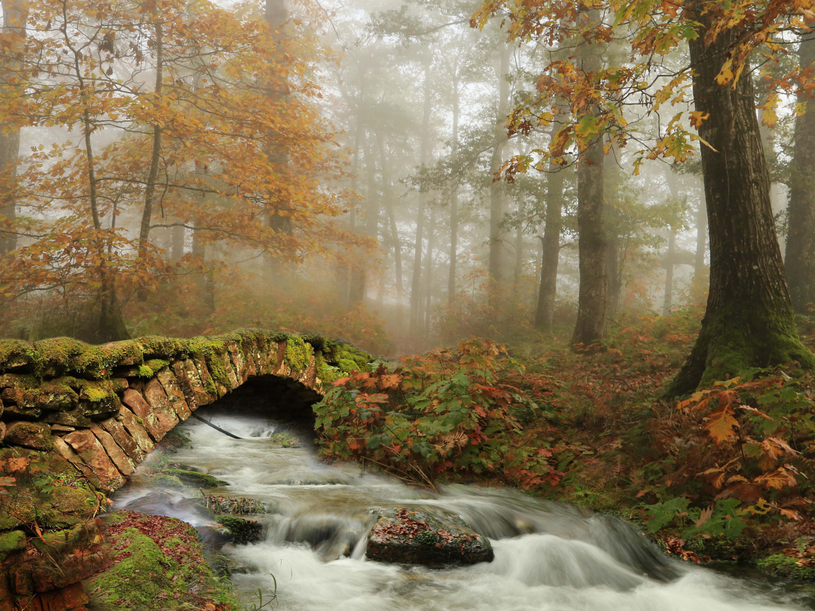 Old stone bridge over the stream in the autumn forest