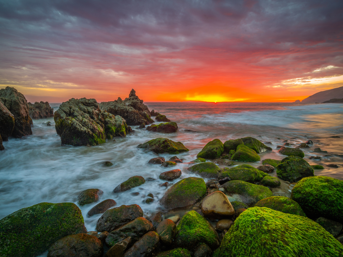 Покрытые зеленым мхом камни на берегу моря