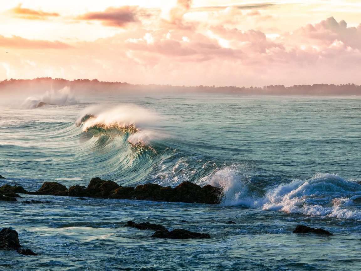 Волны на берегу океана в тумане 
