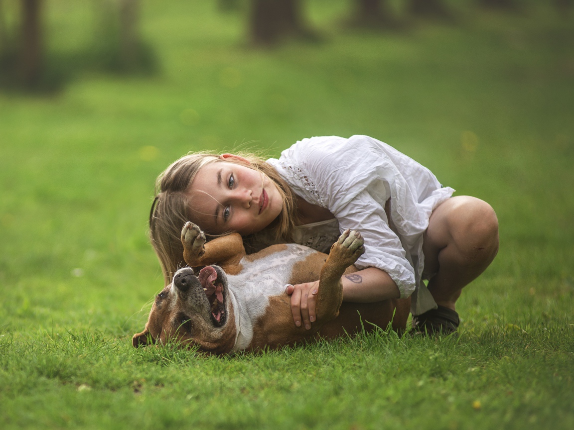 Маленькая девочка играет с собакой на траве летом
