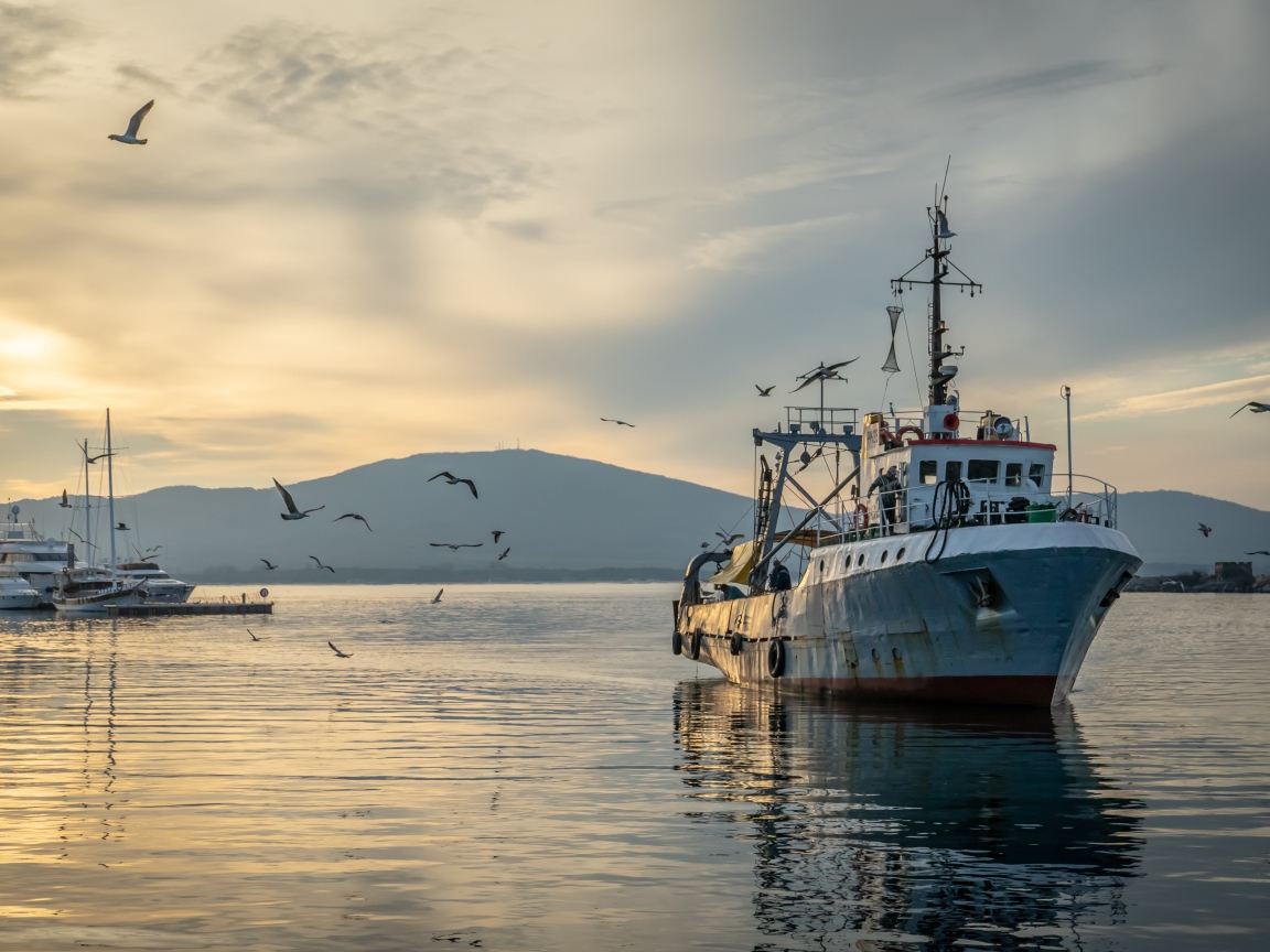 Старое рыболовное судно в море на закате 