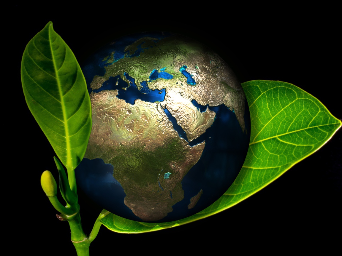 Planet earth lies on a green leaf