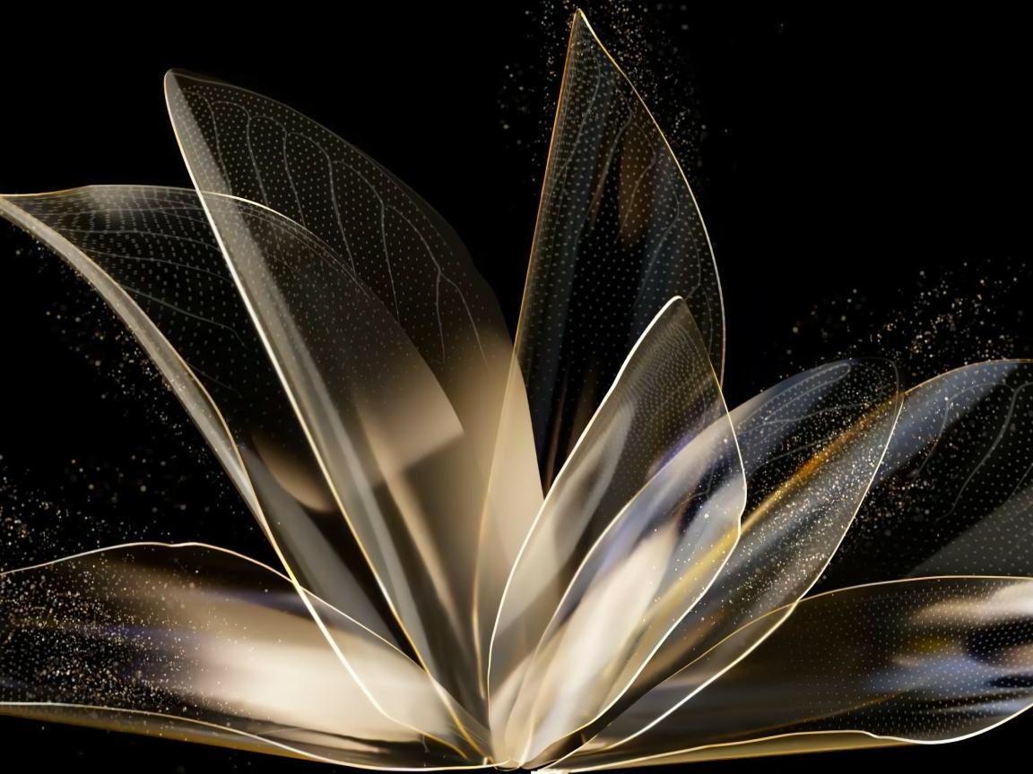 Распустившийся абстрактный цветок на черном фоне