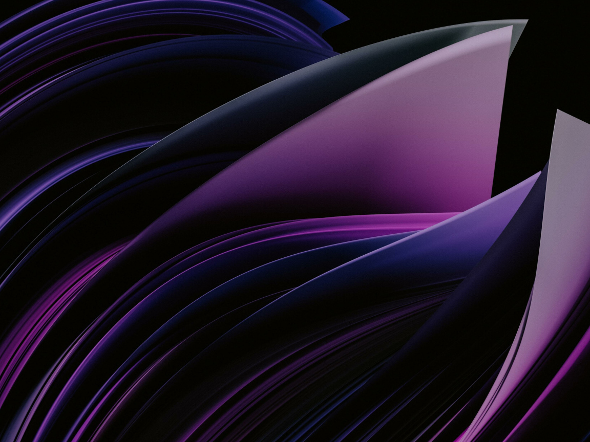 Фиолетовые абстрактные лепестки на черном фоне