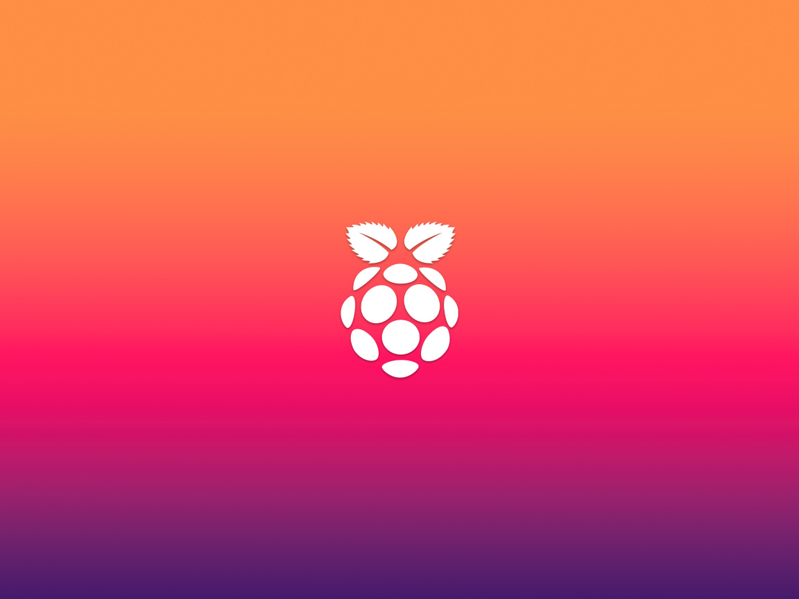 Белая ягода на розовом фоне