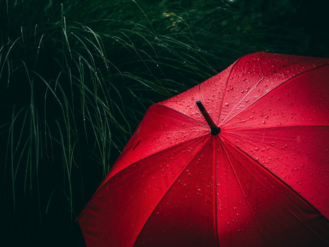 Большой красный зонт в траве под дождем
