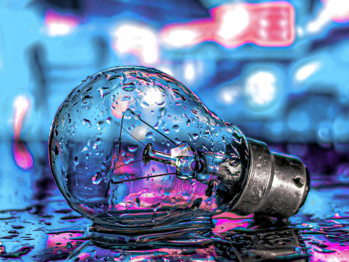 Стеклянная лампочка лежит на мокрой дороге