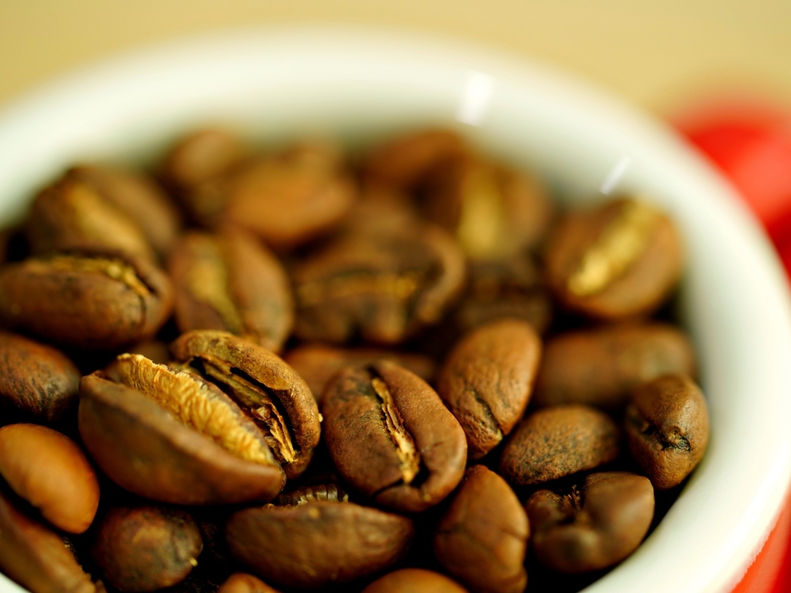 Зерна кофе с белой кружке вблизи