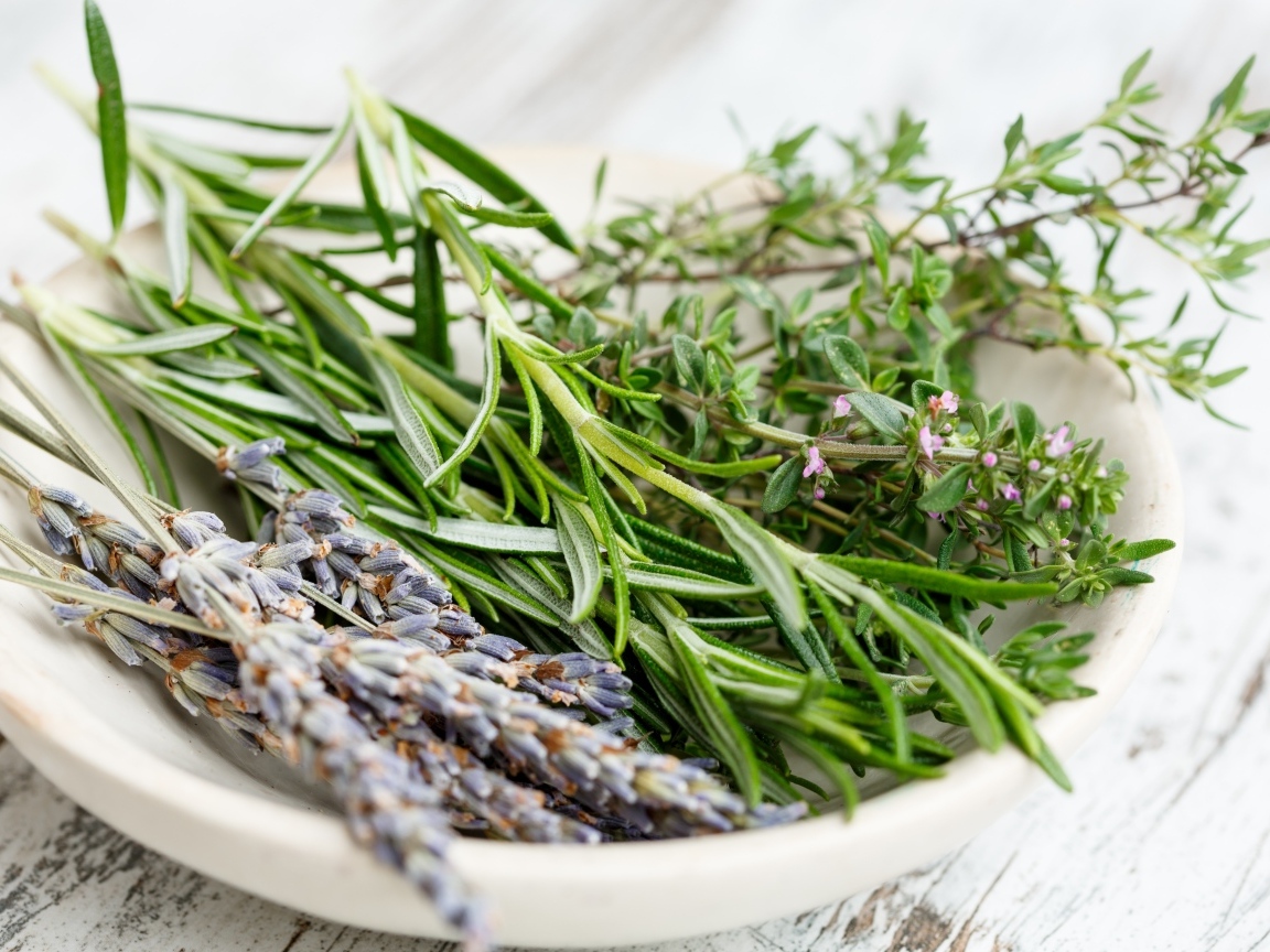 Ароматные пряные травы на столе