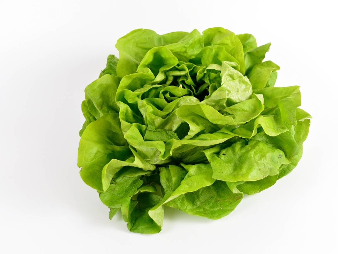 Листья зеленого салата на белом фоне