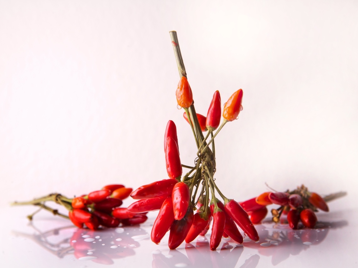 Красный острый перец на белом фоне