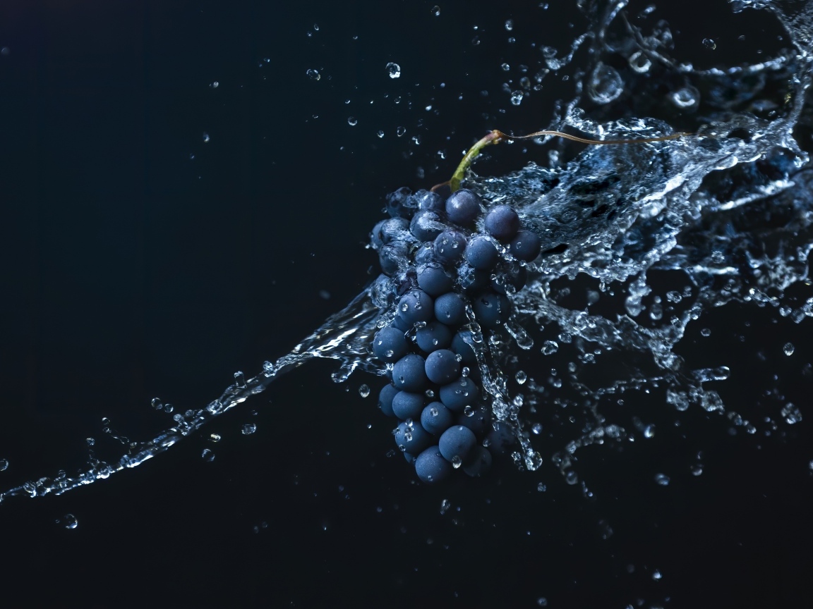 Гроздь синего винограда в воде на черном фоне