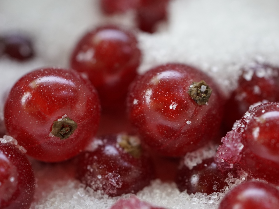 Красная смородина с сахаром крупным планом