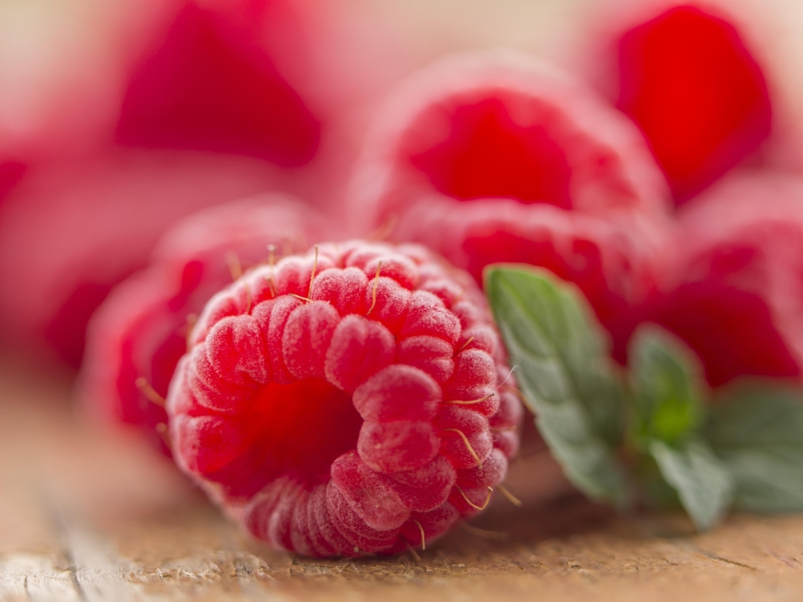 Ягода спелой красной малины крупным планом