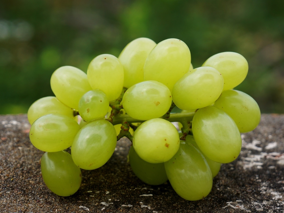 Белый виноград лежит на асфальте