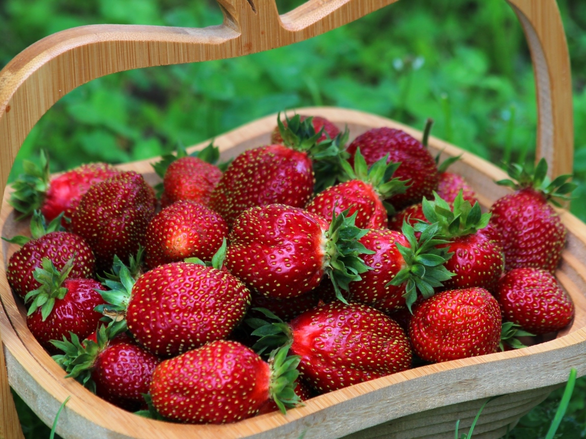 Деревянная корзина вкусной сладкой спелой клубники