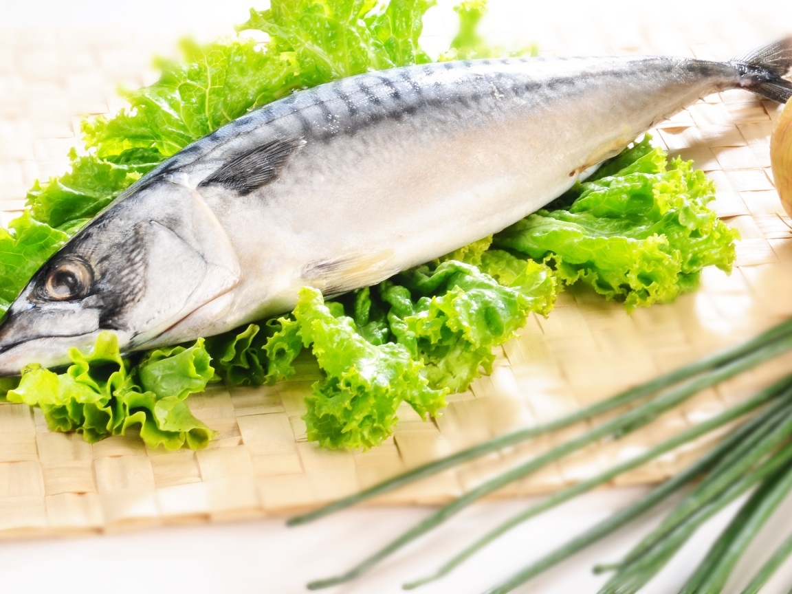 Крупная скумбрия с листьями салата