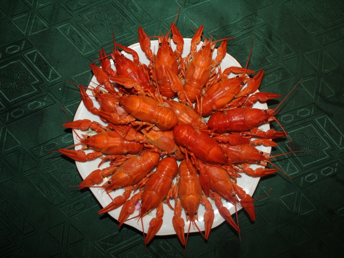 Красные вареные раки на белой тарелке