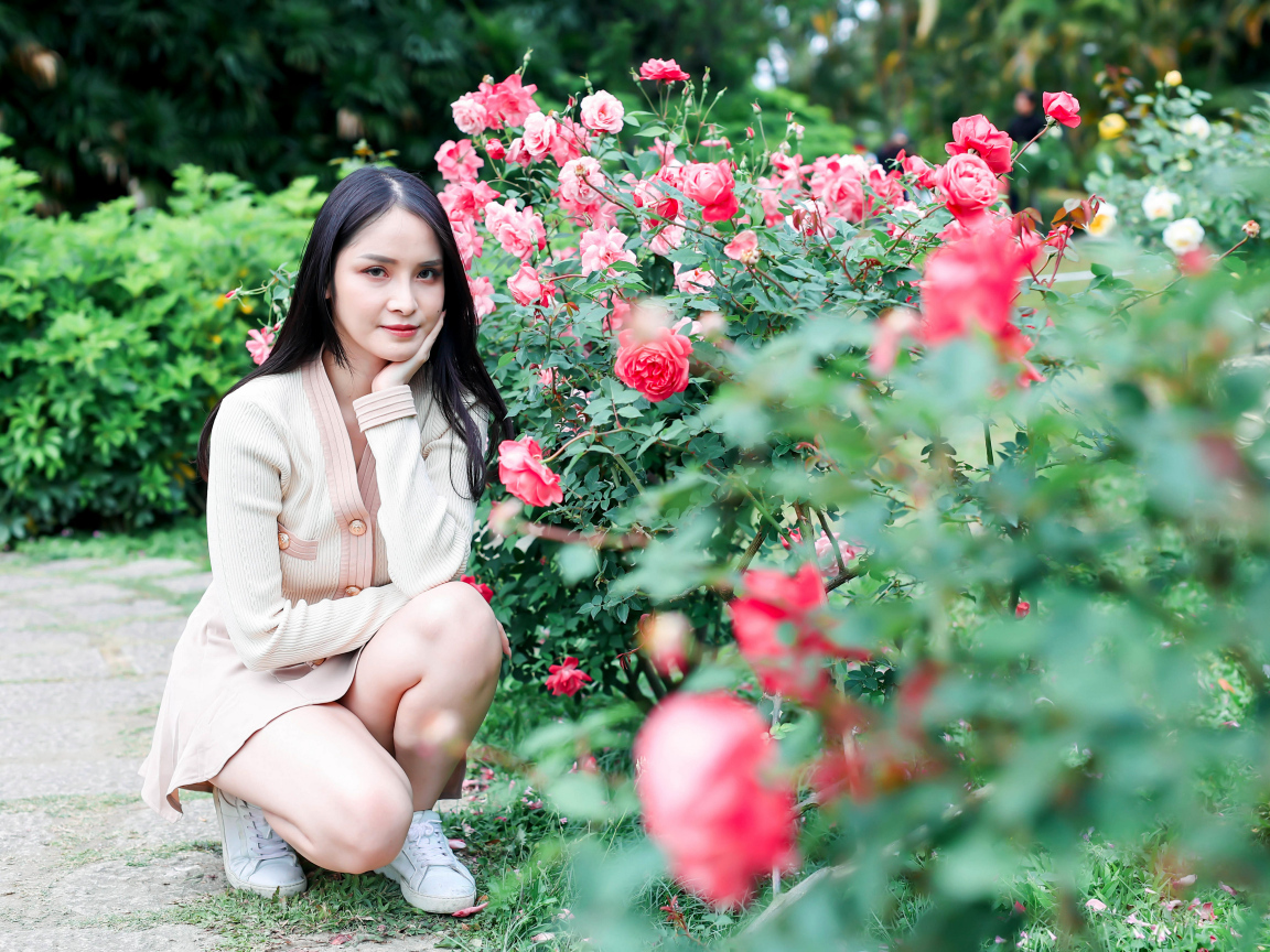 Красивая девушка сидит у куста роз