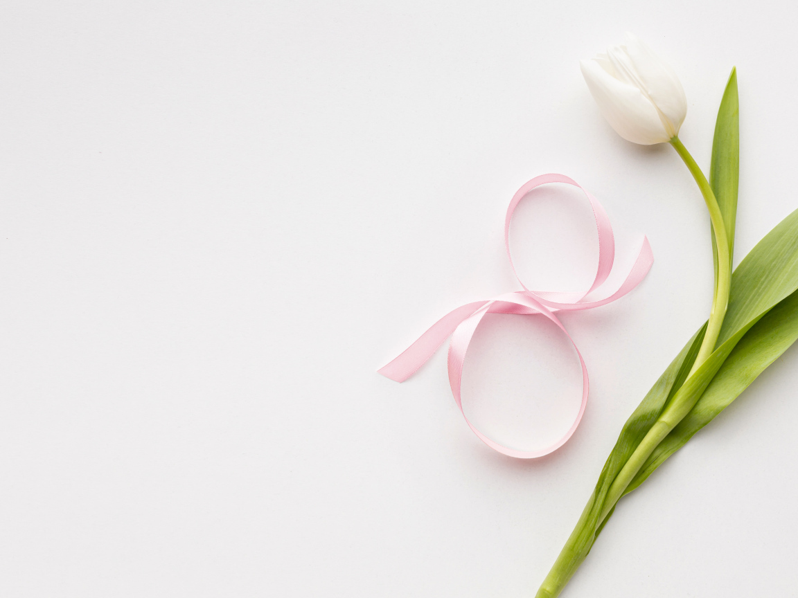 Тюльпан для любимой на 8 марта на розовом фоне