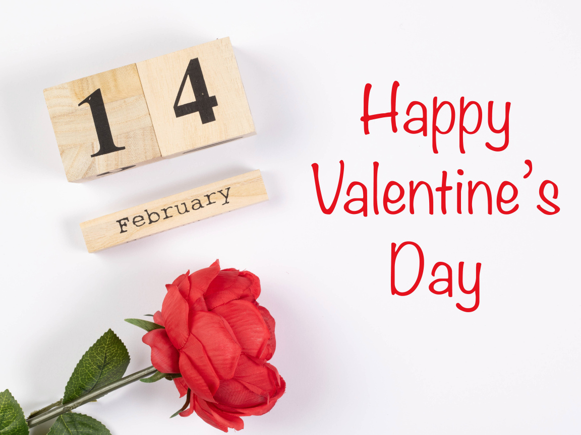 Красивая открытка с розой на белом фоне на День влюбленных