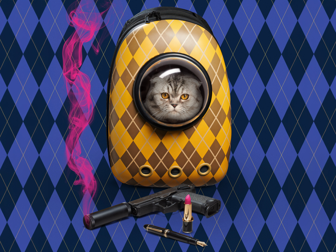 Постер нового фильма Аргайл, 2024