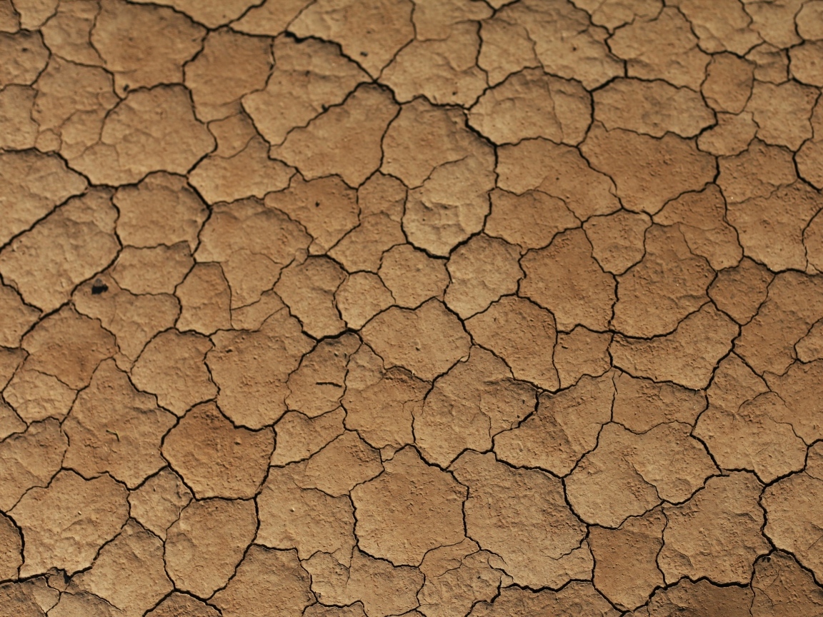 Трещины на сухой земле 
