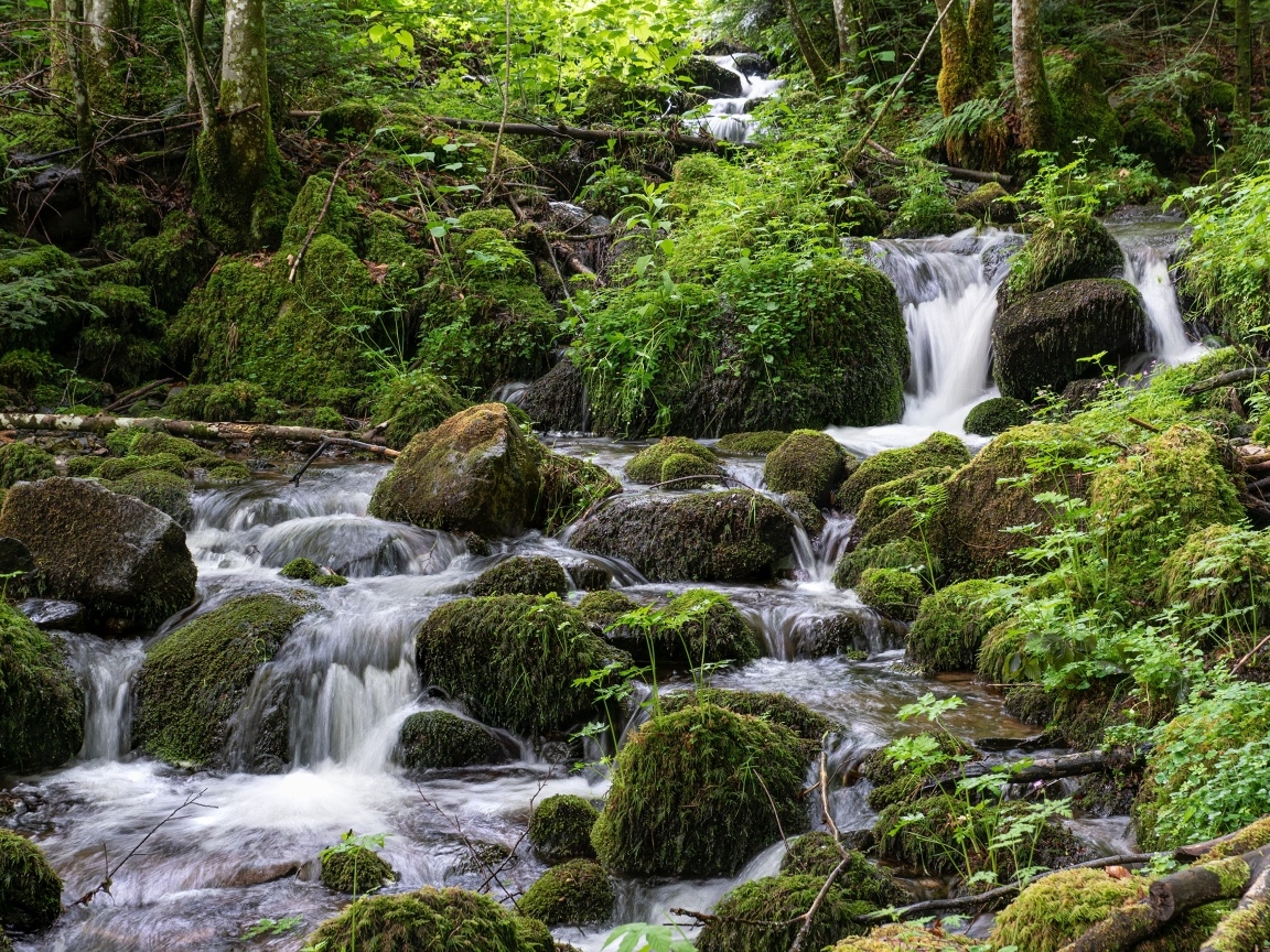 Большие покрытые мхом камни в лесном ручье