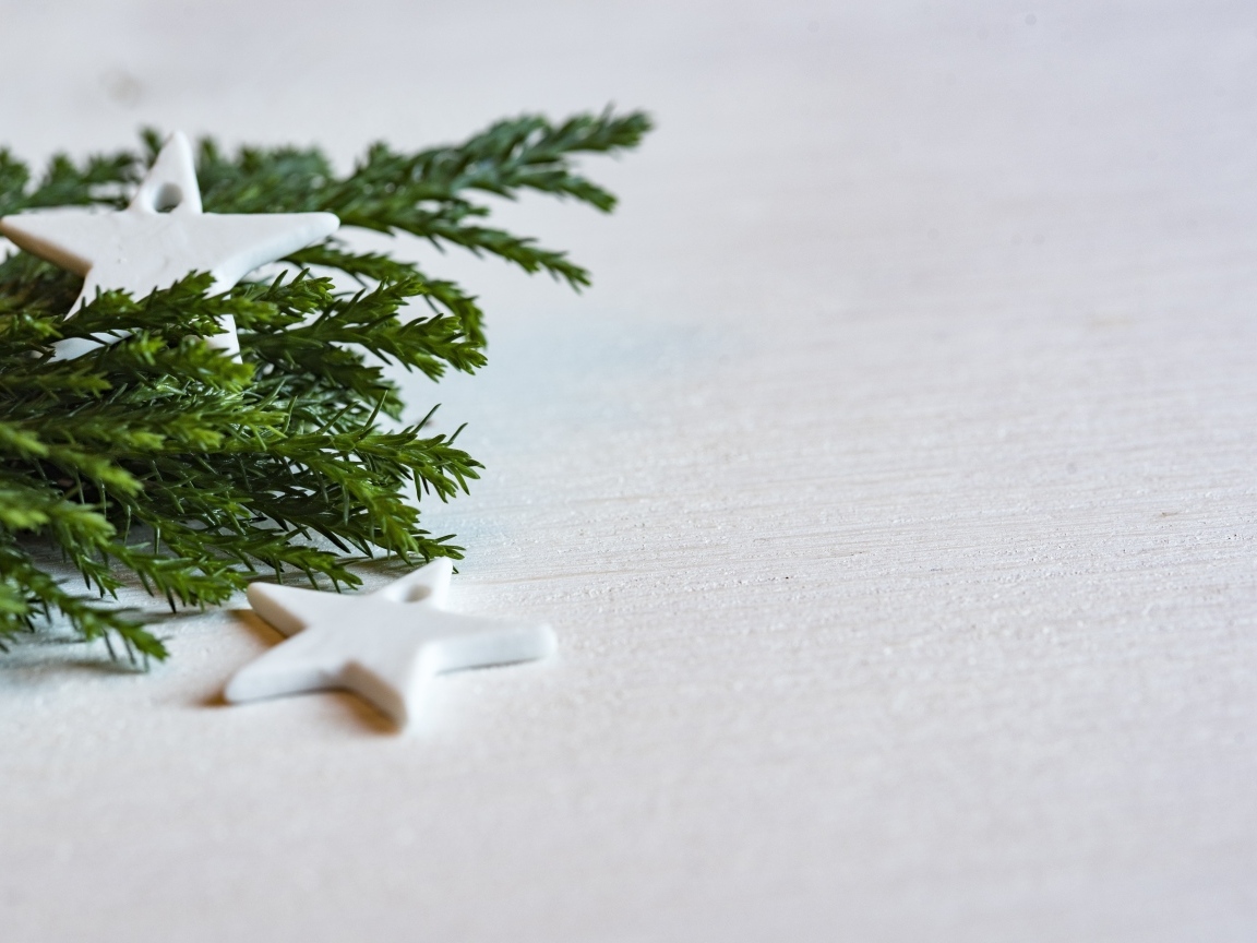 Звезды и ветка ели на белой поверхности 