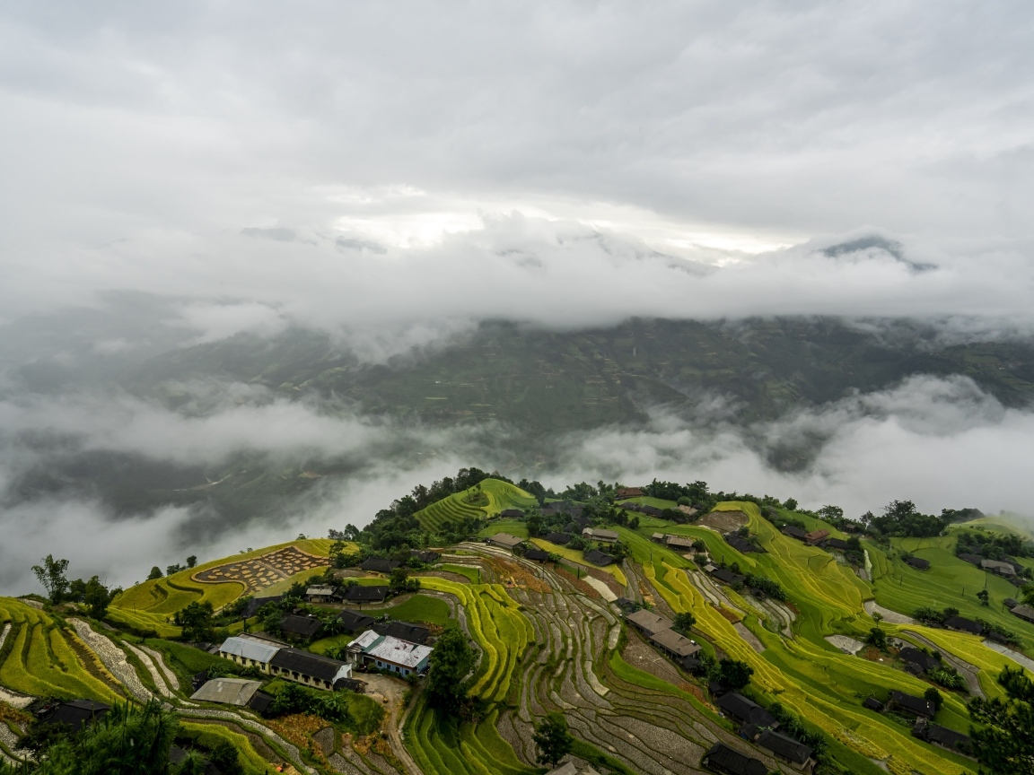 Вид сверху на плантации в тумане