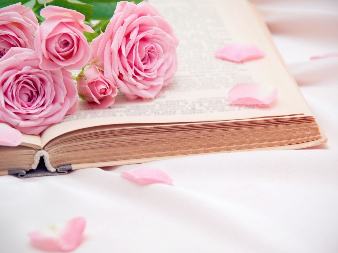 Букет розовых роз лежит на книге