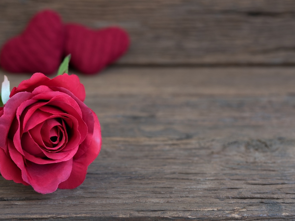 Искусственная роза на деревянном фоне с сердечками