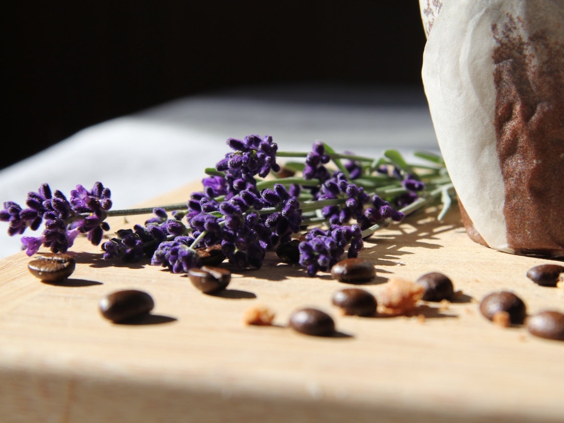 Синие цветы лаванды с зернами кофе