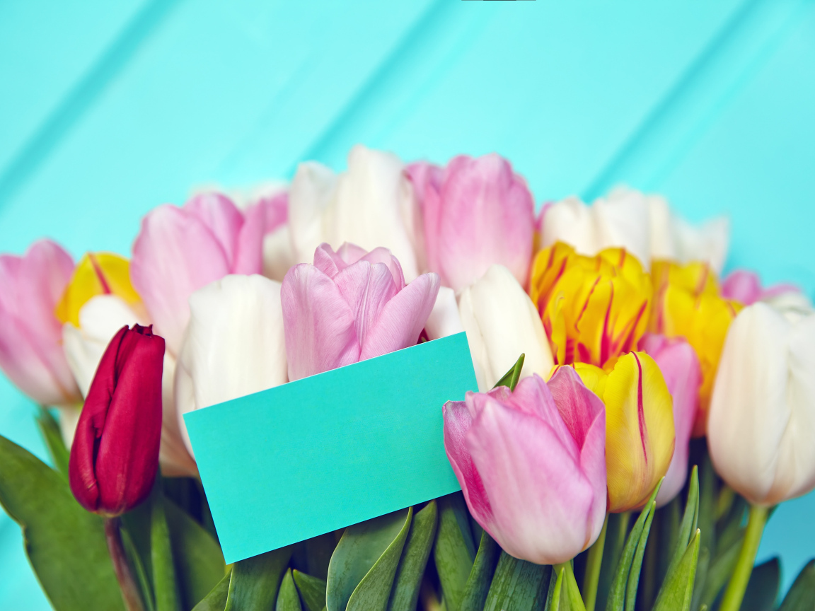 Букет разноцветных тюльпанов с открыткой