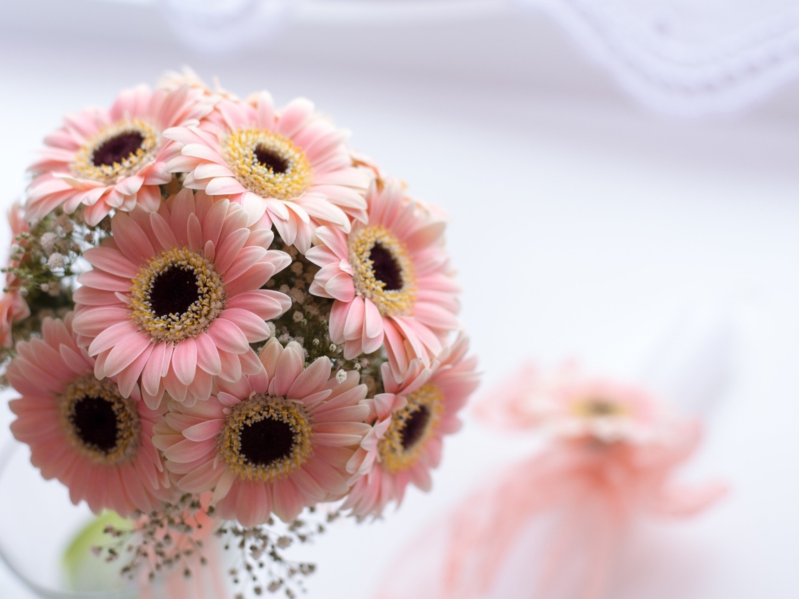 Букет розовых цветов герберы в вазе