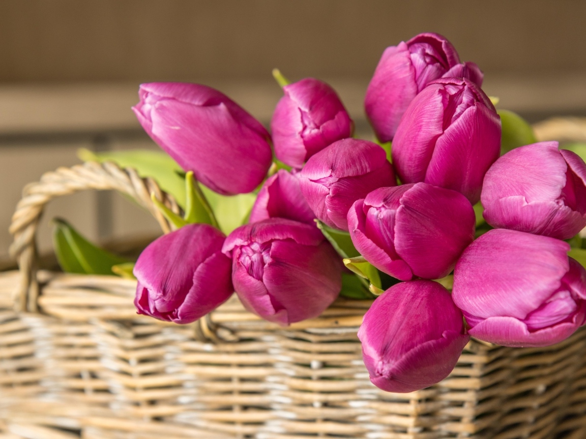 Букет розовых тюльпанов в плетеной корзине