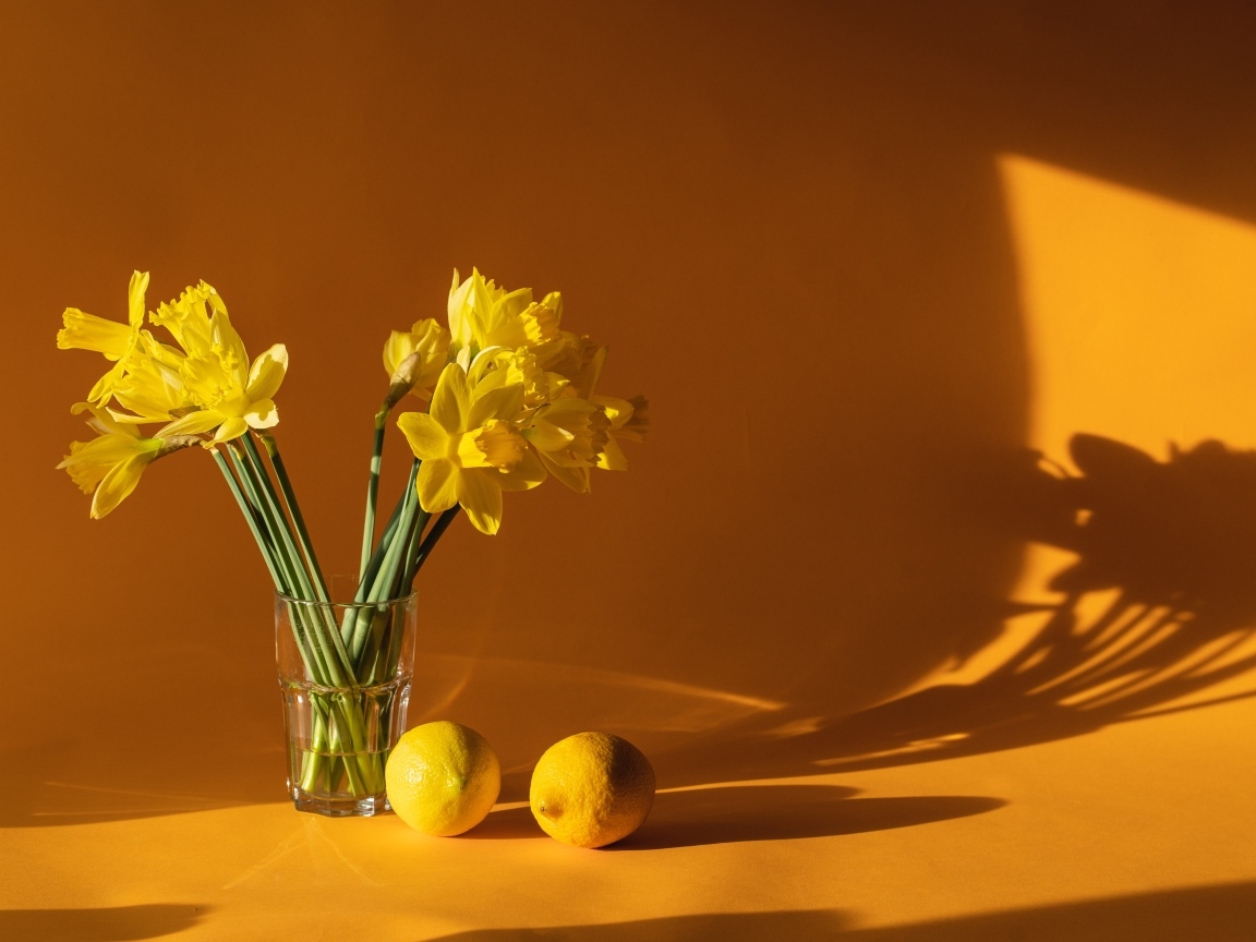 Букет желтых нарциссов в вазе на столе с лимонами