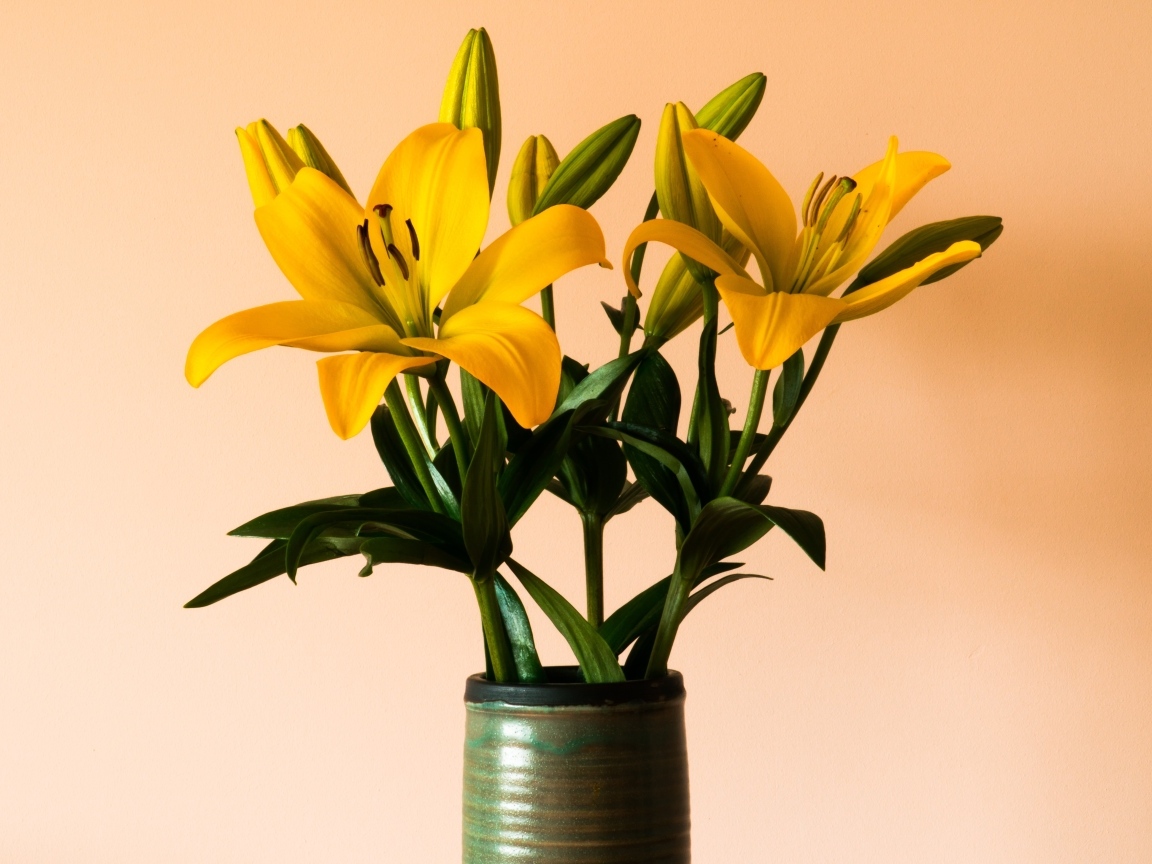 Букет желтых лилий в вазе