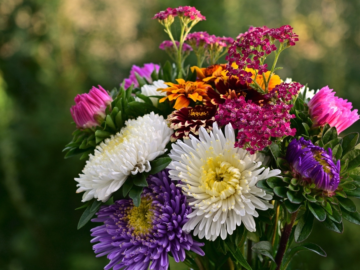 Яркий букет садовых осенних цветов
